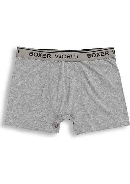 6'lı Erkek Likralı Boxer 14100-A6