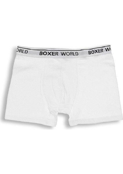 6'lı Erkek Likralı Boxer 14100-A6