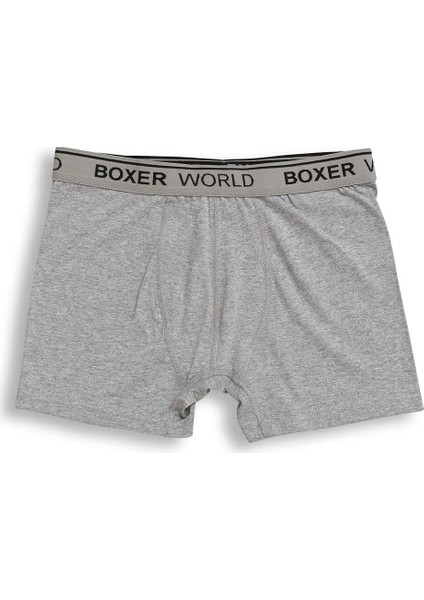 3'lü Erkek Likralı Boxer 14100-B3