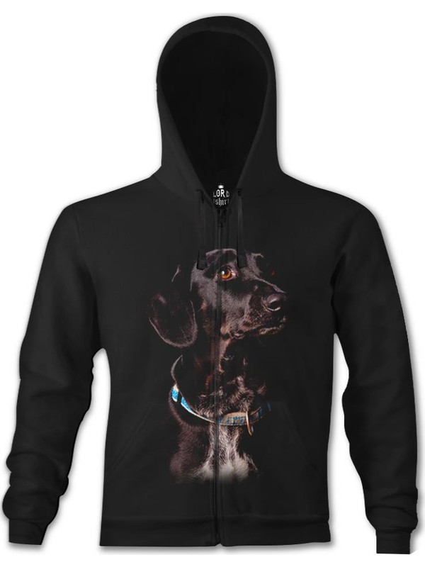 Erkek Hirka Kapsonlu Sweatshirt Siyah Hoodie Sweat Fiyatlari Ve Ozellikleri