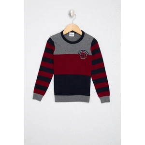U.S. Polo Assn. Erkek Çocuk Triko Kazak 50206126-VR033
