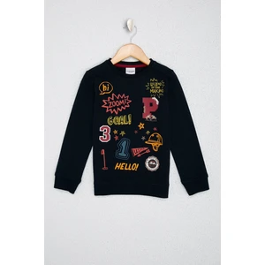 U.S. Polo Assn. Erkek Çocuk Sweatshirt 50215878-VR033