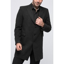 Dewberry Plt8343 Palto
