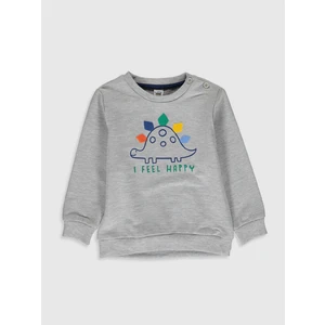LC Waikiki Erkek Bebek Sweatshirt