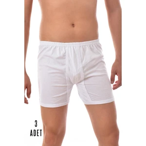 3 Adet Seher Erkek Arjantin Boxer Beyaz 0006