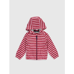 Lc Waikiki Erkek Bebek Mont