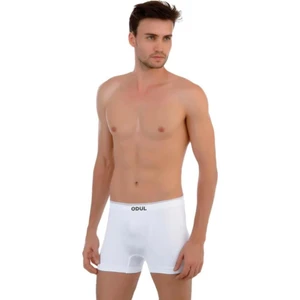 2009-3 Erkek Boxer Beyaz 3 Lü