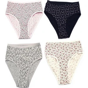 4'lü Kadın Düz Desenli Maksi Külot 3142 XL