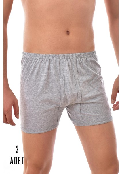 3 Adet Seher Erkek Arjantin Boxer Gri 0006