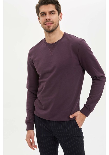 Erkek Basic Regular Fit Sweatshirt