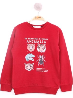 Toontoy Erkek Çocuk Hayvan Baskılı Sweatshirt
