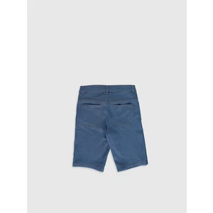 LC Waikiki Erkek Çocuk Roller