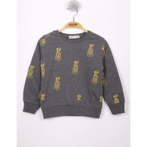 Erkek Çocuk Köpek Baskılı Sweatshirt