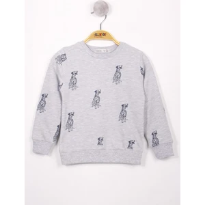 Erkek Çocuk Köpek Baskılı Sweatshirt