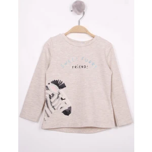 Kız Çocuk Zebra Baskılı Nakışlı T-Shirt