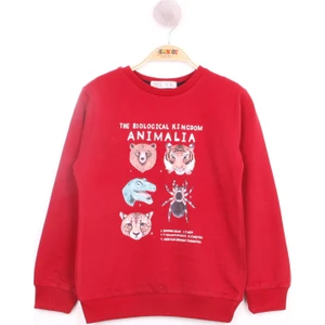 Erkek Çocuk Hayvan Baskılı Sweatshirt