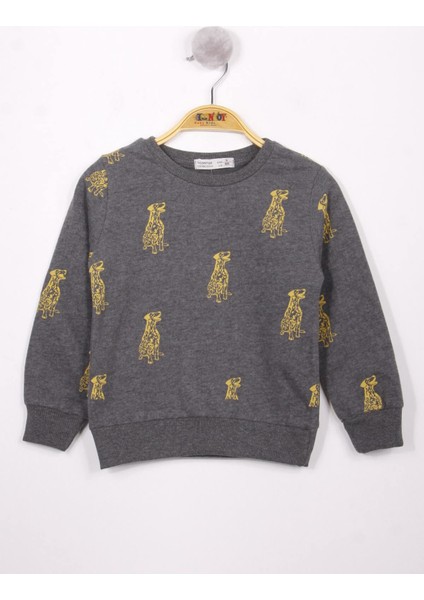 Erkek Çocuk Köpek Baskılı Sweatshirt