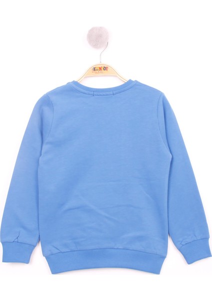 Erkek Çocuk Hayvan Baskılı Sweatshirt fiyatları