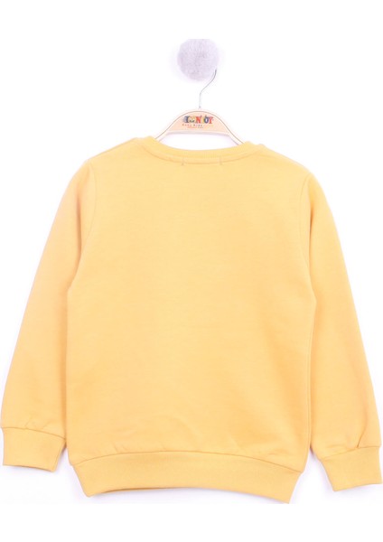 Erkek Çocuk Hayvan Baskılı Sweatshirt fiyatları