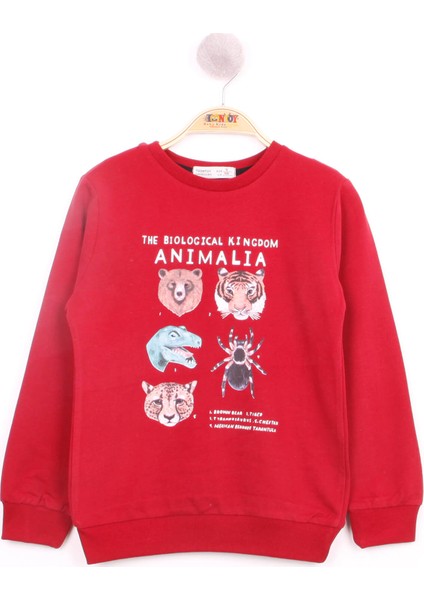 Erkek Çocuk Hayvan Baskılı Sweatshirt