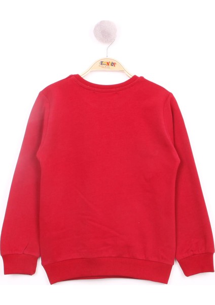 Erkek Çocuk Hayvan Baskılı Sweatshirt