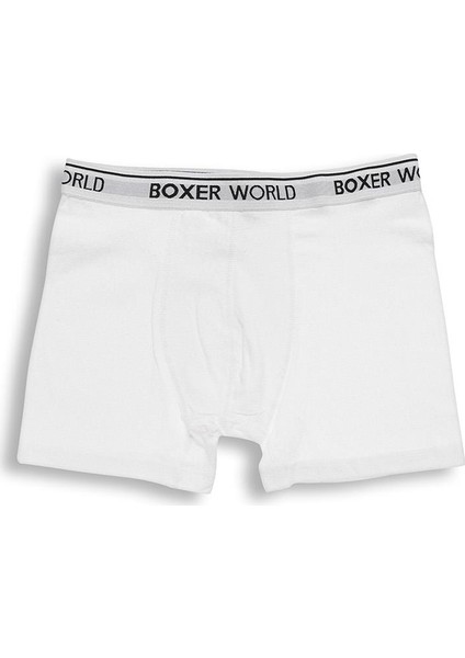 12'li Erkek Likralı Boxer 14100-A12 XXL