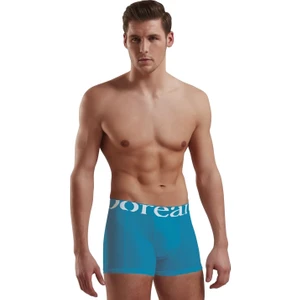 Erkek Boxer