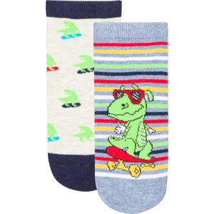 Çok Renkli Erkek Çocuk Little Dino 2'li Patik Çorap