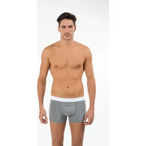 Erkek Şort