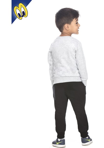 Erkek Çocuk Eşofman Takım 9 Aslan Nakışlı fiyatları