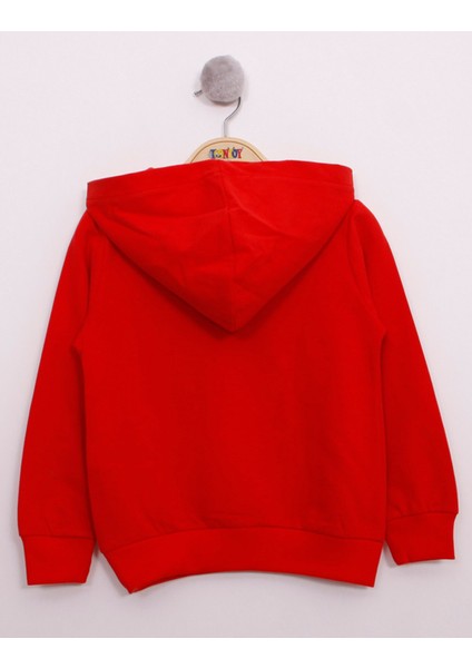 Erkek Çocuk Pullu U.S.A Bayraklı Nakışlı Sweatshirt