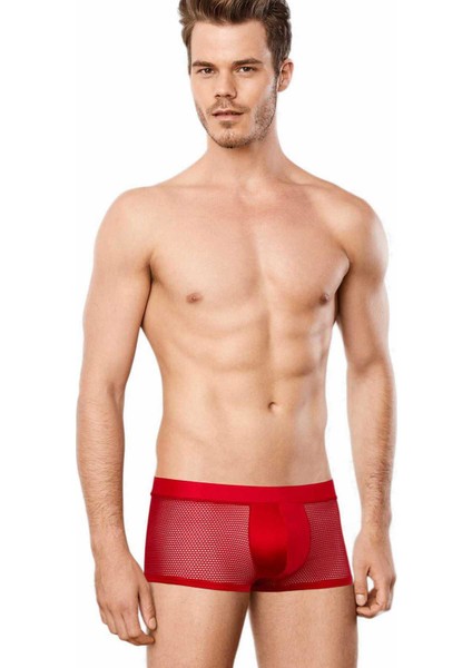 File Kareli Erkek Boxer Külot 1588