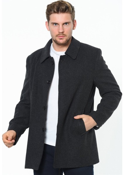 Plt8206 Palto