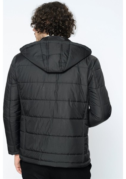 M8601 Mont modelleri