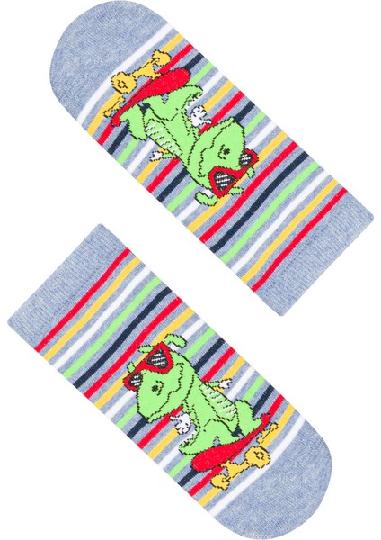 Çok Renkli Erkek Çocuk Little Dino 2'li Patik Çorap