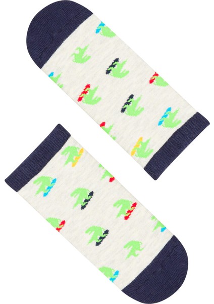 Çok Renkli Erkek Çocuk Little Dino 2'li Patik Çorap