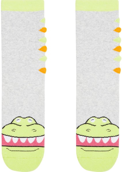 Çok Renkli Erkek Çocuk Crocodille Soket Çorap