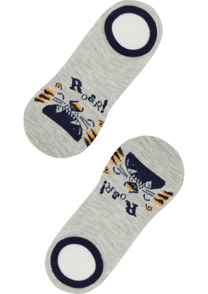 Çok Renkli B. Roar 2'li Babet Çorabı
