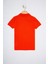 Erkek Çocuk Nar Çiçeği Basic T-Shirt 50222608-VR039 2