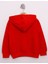 Erkek Çocuk Pullu U.S.A Bayraklı Nakışlı Sweatshirt 2