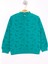 Erkek Çocuk Dinazor Baskılı Sweatshirt 1