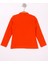 Kız Çocuk Tnty Nakışlı Sweatshirt 2