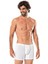 Modal Boxer 1