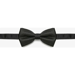 Erkek Desenli Papyon