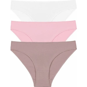 3'lü Paket Slip Külot  - Ekru - Vizon - Pembe XS