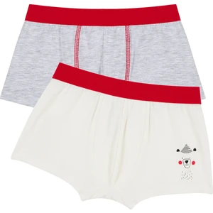 Çok Renkli Erkek Çocuk Bear 2li Boxer