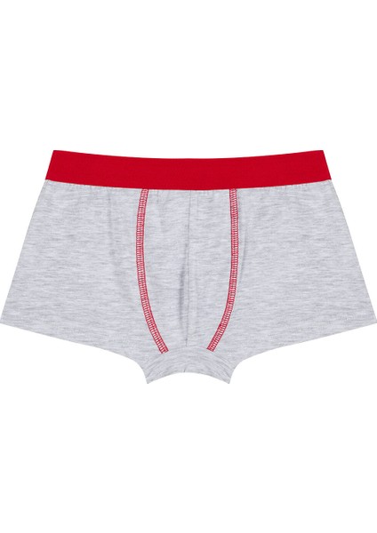 Çok Renkli Erkek Çocuk Bear 2li Boxer