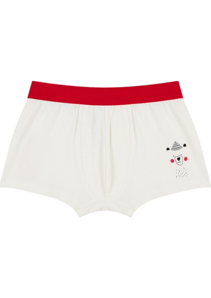 Çok Renkli Erkek Çocuk Bear 2li Boxer