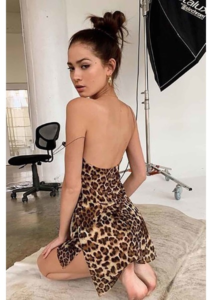 Leopar Gecelik