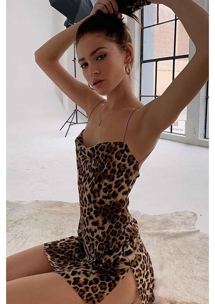 Leopar Gecelik